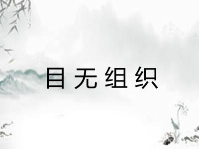 目无组织