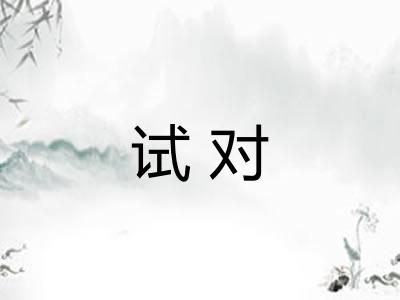 试对