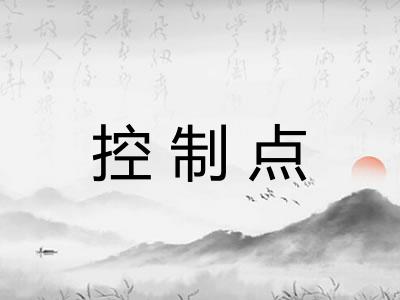 控制点