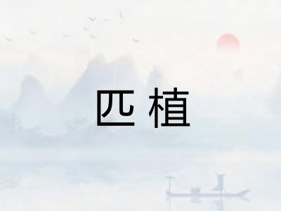 匹植