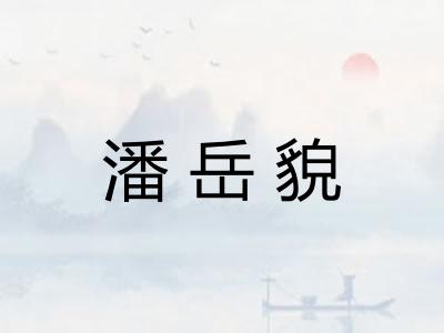 潘岳貌