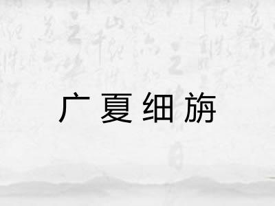 广夏细旃