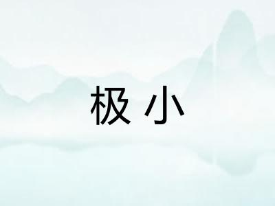 极小