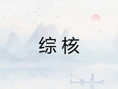 综核