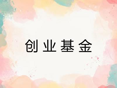 创业基金