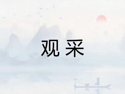 观采