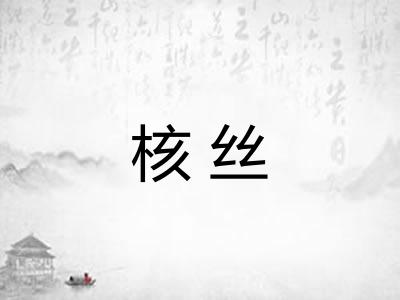 核丝