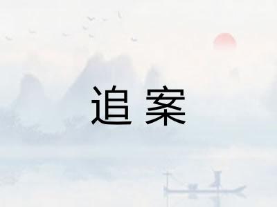 追案