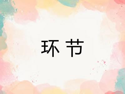 环节