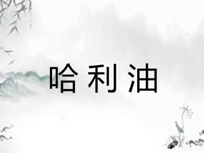 哈利油