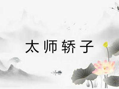 太师轿子