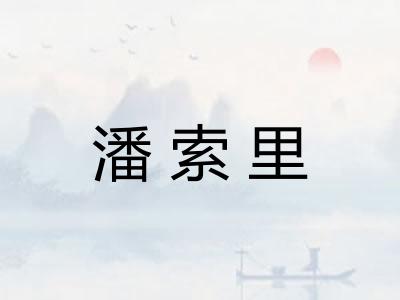 潘索里