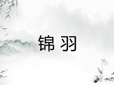 锦羽