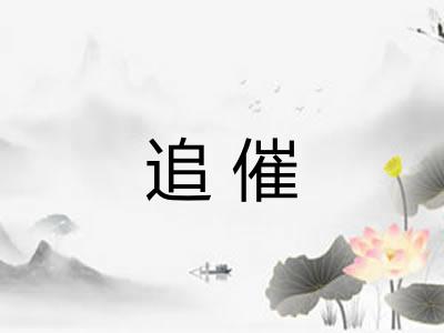 追催