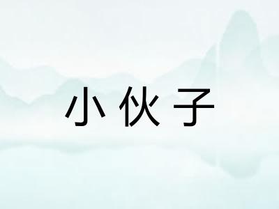 小伙子