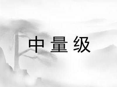 中量级