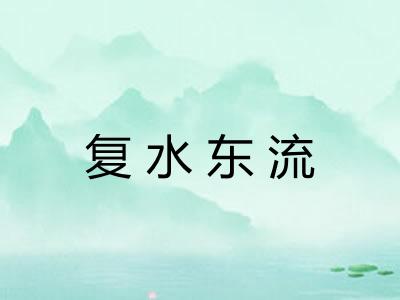 复水东流