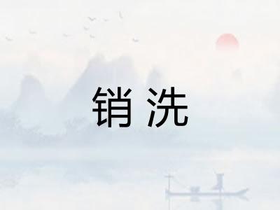 销洗