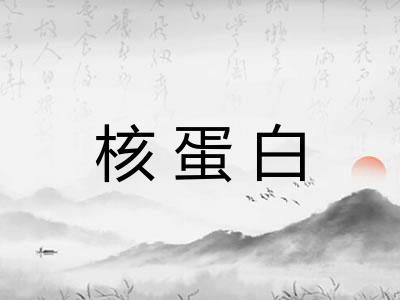 核蛋白