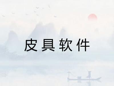 皮具软件