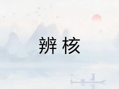 辨核