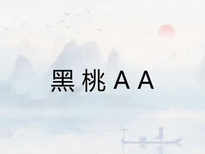 黑桃AA