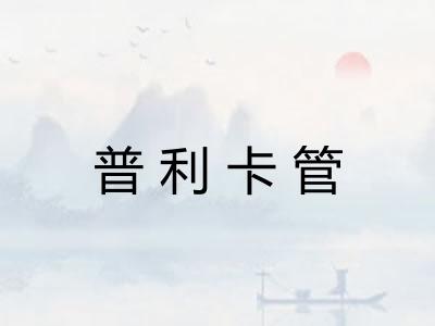 普利卡管