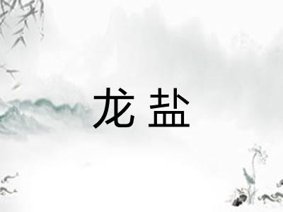 龙盐