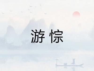 游悰