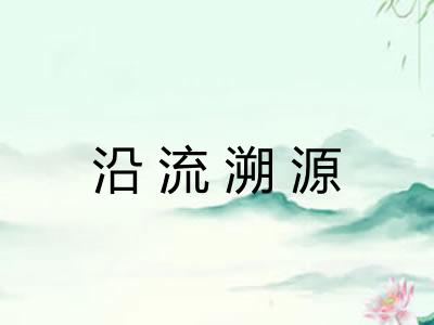 沿流溯源