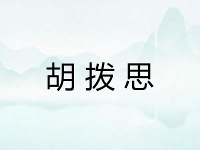 胡拨思