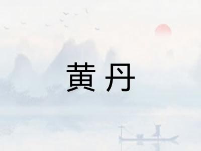 黄丹