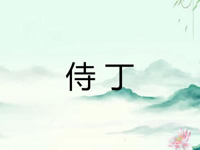 侍丁