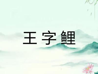 王字鲤