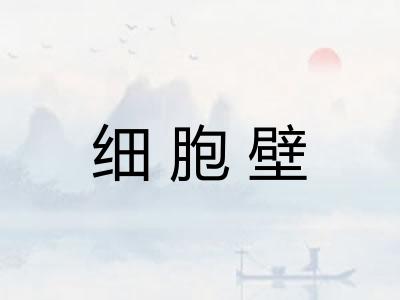 细胞壁