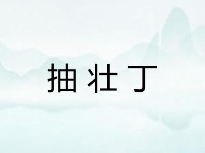 抽壮丁