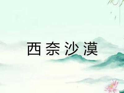 西奈沙漠