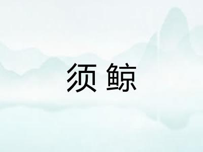 须鲸