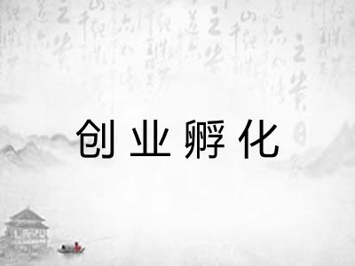 创业孵化