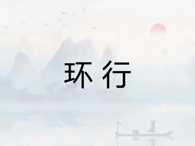 环行