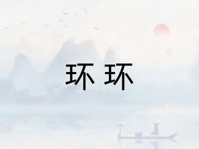 环环