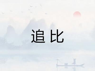 追比