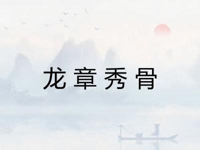 龙章秀骨