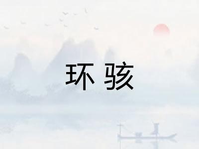 环骇