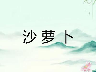 沙萝卜