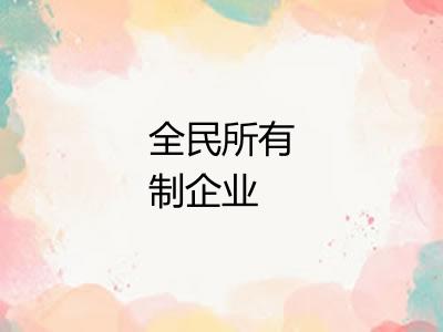 全民所有制企业