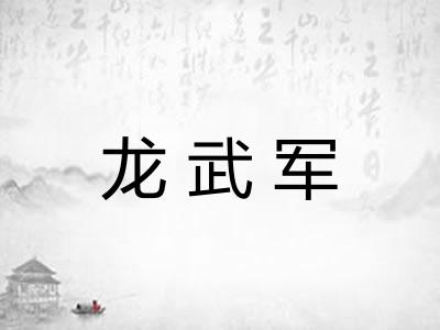 龙武军