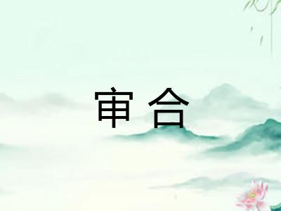 审合