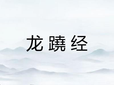 龙蹺经