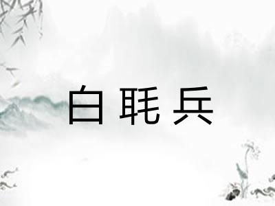 白毦兵